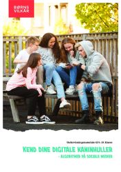 Forside for rapport om digitale kaninhuller